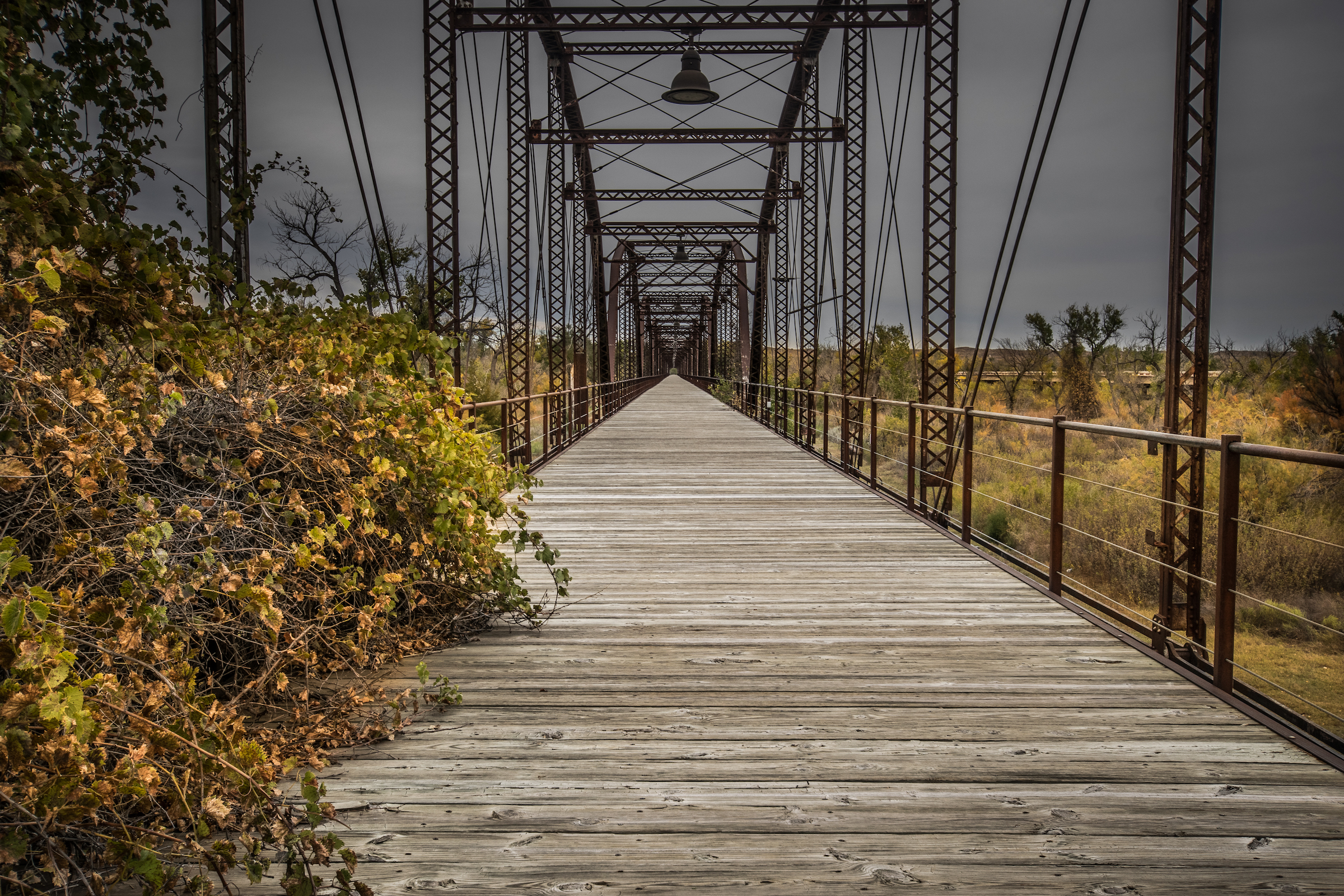 Share Your Feedback Happy State Bank