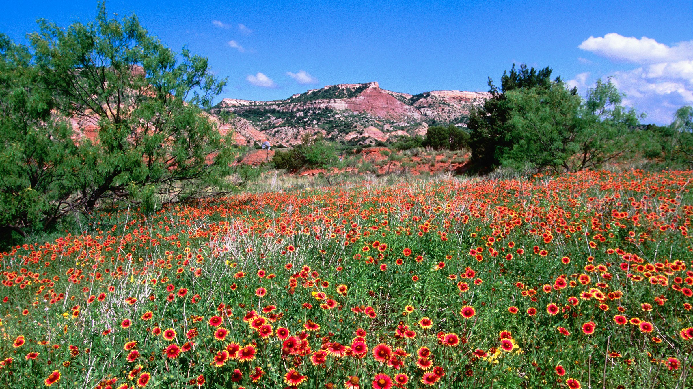 Home Texas Happy State Bank