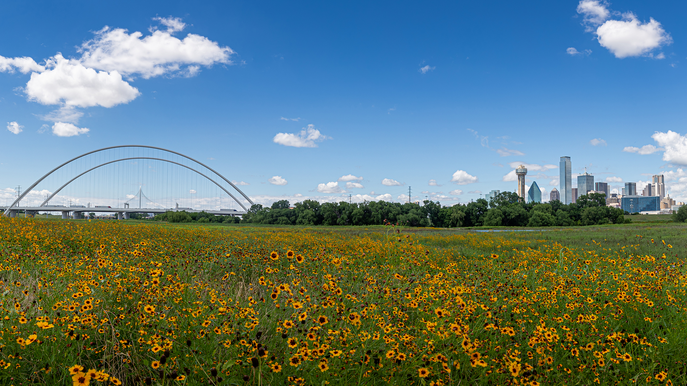 Cash Management Email and Text Alerts Happy State Bank
